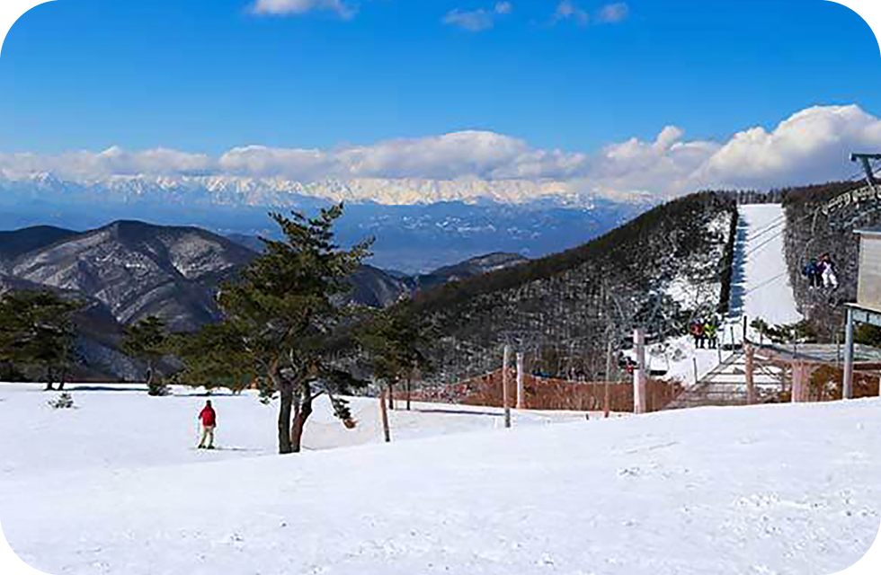 写真:峰の原高原